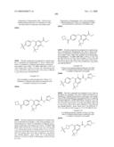 FUSED PHENYL AMIDO HETEROCYCLIC COMPOUNDS diagram and image