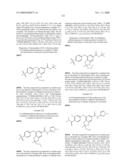 FUSED PHENYL AMIDO HETEROCYCLIC COMPOUNDS diagram and image