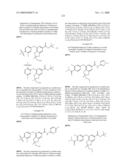 FUSED PHENYL AMIDO HETEROCYCLIC COMPOUNDS diagram and image