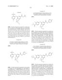 FUSED PHENYL AMIDO HETEROCYCLIC COMPOUNDS diagram and image