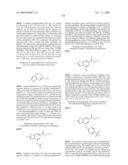 FUSED PHENYL AMIDO HETEROCYCLIC COMPOUNDS diagram and image