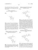 FUSED PHENYL AMIDO HETEROCYCLIC COMPOUNDS diagram and image