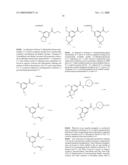 FUSED PHENYL AMIDO HETEROCYCLIC COMPOUNDS diagram and image