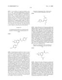 FUSED PHENYL AMIDO HETEROCYCLIC COMPOUNDS diagram and image