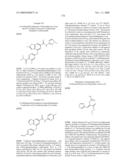 FUSED PHENYL AMIDO HETEROCYCLIC COMPOUNDS diagram and image