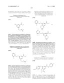 FUSED PHENYL AMIDO HETEROCYCLIC COMPOUNDS diagram and image