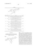 FUSED PHENYL AMIDO HETEROCYCLIC COMPOUNDS diagram and image
