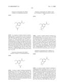 FUSED PHENYL AMIDO HETEROCYCLIC COMPOUNDS diagram and image