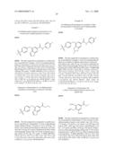 FUSED PHENYL AMIDO HETEROCYCLIC COMPOUNDS diagram and image