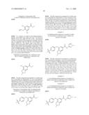 FUSED PHENYL AMIDO HETEROCYCLIC COMPOUNDS diagram and image