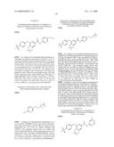 FUSED PHENYL AMIDO HETEROCYCLIC COMPOUNDS diagram and image