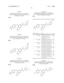 FUSED PHENYL AMIDO HETEROCYCLIC COMPOUNDS diagram and image