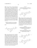 FUSED PHENYL AMIDO HETEROCYCLIC COMPOUNDS diagram and image