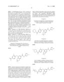 FUSED PHENYL AMIDO HETEROCYCLIC COMPOUNDS diagram and image