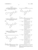 FUSED PHENYL AMIDO HETEROCYCLIC COMPOUNDS diagram and image