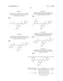 FUSED PHENYL AMIDO HETEROCYCLIC COMPOUNDS diagram and image