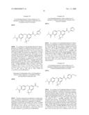 FUSED PHENYL AMIDO HETEROCYCLIC COMPOUNDS diagram and image