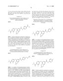 FUSED PHENYL AMIDO HETEROCYCLIC COMPOUNDS diagram and image