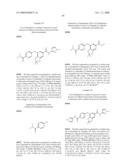 FUSED PHENYL AMIDO HETEROCYCLIC COMPOUNDS diagram and image