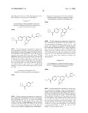 FUSED PHENYL AMIDO HETEROCYCLIC COMPOUNDS diagram and image