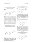 FUSED PHENYL AMIDO HETEROCYCLIC COMPOUNDS diagram and image