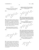 FUSED PHENYL AMIDO HETEROCYCLIC COMPOUNDS diagram and image