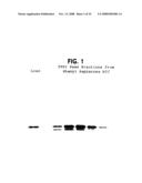 Formulation, Solubilization, Purification, and Refolding of Tissue Factor Pathway Inhibitor diagram and image