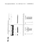 Formulation, Solubilization, Purification, and Refolding of Tissue Factor Pathway Inhibitor diagram and image