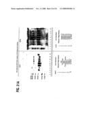 Formulation, Solubilization, Purification, and Refolding of Tissue Factor Pathway Inhibitor diagram and image