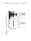 Formulation, Solubilization, Purification, and Refolding of Tissue Factor Pathway Inhibitor diagram and image