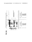 Formulation, Solubilization, Purification, and Refolding of Tissue Factor Pathway Inhibitor diagram and image