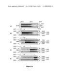 Low mesopore adsorbent contactors for use in swing adsorption processes diagram and image