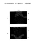 Printed circuit board using paste bump and manufacturing method thereof diagram and image