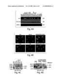 Methods of Detecting Ovarian Cancer diagram and image