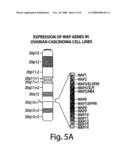 Methods of Detecting Ovarian Cancer diagram and image