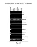 Methods of Detecting Ovarian Cancer diagram and image