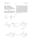 PIPERIZINYL MACROCYCLIC HEPATITIS C SERINE PROTEASE INHIBITORS diagram and image