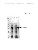 Process for Preparing Variant of Erysipelothrix Rhusiopathiae Surface Protective Antigen in E. Coli diagram and image