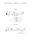 Process for Preparing Variant of Erysipelothrix Rhusiopathiae Surface Protective Antigen in E. Coli diagram and image