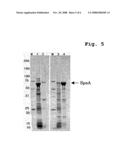 Process for Preparing Variant of Erysipelothrix Rhusiopathiae Surface Protective Antigen in E. Coli diagram and image