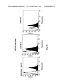 Membrane-anchored beta2 microglobulincovalently linked to MHC class I peptide epitopes diagram and image