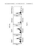 Membrane-anchored beta2 microglobulincovalently linked to MHC class I peptide epitopes diagram and image