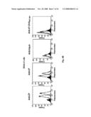 Membrane-anchored beta2 microglobulincovalently linked to MHC class I peptide epitopes diagram and image