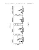 Membrane-anchored beta2 microglobulincovalently linked to MHC class I peptide epitopes diagram and image