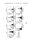 Membrane-anchored beta2 microglobulincovalently linked to MHC class I peptide epitopes diagram and image