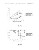 Membrane-anchored beta2 microglobulincovalently linked to MHC class I peptide epitopes diagram and image