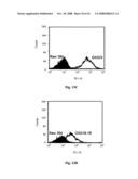 Membrane-anchored beta2 microglobulincovalently linked to MHC class I peptide epitopes diagram and image