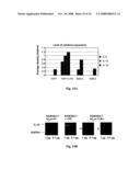 Membrane-anchored beta2 microglobulincovalently linked to MHC class I peptide epitopes diagram and image