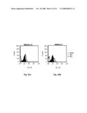 Membrane-anchored beta2 microglobulincovalently linked to MHC class I peptide epitopes diagram and image