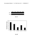 Membrane-anchored beta2 microglobulincovalently linked to MHC class I peptide epitopes diagram and image